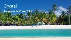  Presentation with palm beach - 