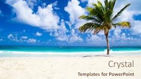  Presentation with palm beach - 