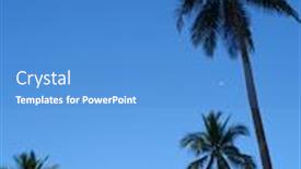  Presentation with summer trees - Cool new presentation theme with palm trees over blue sky backdrop and a teal colored foreground