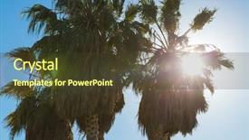  Presentation with nature sun trees - PPT layouts consisting of palm trees over sun shining background and a tawny brown colored foreground
