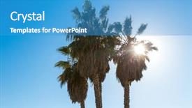  Presentation with nature sun trees - Audience pleasing PPT layouts consisting of palm trees over sun shining backdrop and a teal colored foreground