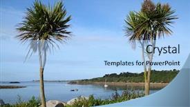  Presentation with palm trees on a - Presentation theme with palm trees porthcressa st mary background and a  colored foreground