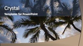  Presentation with maui - Theme enhanced with palm trees silhouetted against sky in maui hawaii background and a ocean colored foreground
