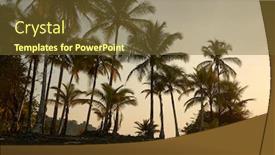  Presentation with palm beach - Audience pleasing PPT theme consisting of palm-trees-sunset-beach backdrop and a tawny brown colored foreground