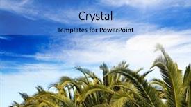  Presentation with palm oil seeds of tree - Presentation theme consisting of palm trees tops under cloudy background and a light blue colored foreground