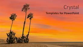  Presentation with palm beach - PPT theme with palm-trees-with-sunset-sky background and a coral colored foreground