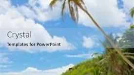  Presentation with paradise - Presentation featuring palm-view-exotic-paradise background and a light blue colored foreground