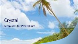  Presentation with serenity - Amazing PPT layouts having palm view serenity shore backdrop and a light blue colored foreground