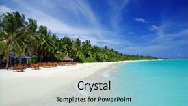  Presentation with fresh coconut juice decorated tropical - Slide deck featuring palms along the white beach background and a light blue colored foreground