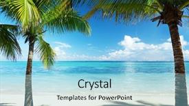  Presentation with palm beach - Beautiful presentation featuring palms and beach backdrop and a light blue colored foreground