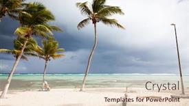  Presentation with caribbean - Amazing PPT layouts having palms-and-caribbean-beach-la backdrop and a lemonade colored foreground