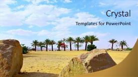  Presentation with stones - PPT theme with palms and stones arava desert background and a  colored foreground