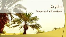  Presentation with oasis - PPT theme enhanced with palms and stones arava desert background and a cream colored foreground