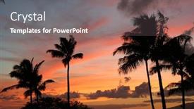  Presentation with airplane taking off sky in - Amazing PPT theme having palms before a fading sky backdrop and a gray colored foreground