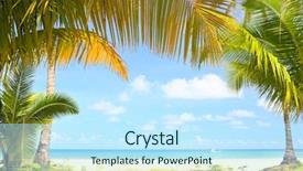  Presentation with frame - Beautiful slides featuring palms frame under the sea backdrop and a cool aqua colored foreground