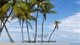  Presentation with caribbean - 