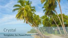  Presentation with turquoise beach - Slides having palms-on-the-white-beach background and a light blue colored foreground