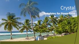  Presentation with turquoise beach - Slide set featuring palms-on-the-white-beach background and a teal colored foreground