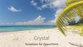  Presentation with turquoise beach - PPT layouts consisting of palms-on-the-white-beach background and a lemonade colored foreground