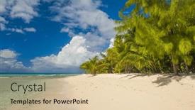  Presentation with turquoise beach - Presentation design having palms-on-the-white-beach background and a lemonade colored foreground