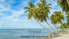  Presentation with turquoise beach - Slides with palms-on-the-white-beach background and a light blue colored foreground