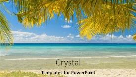  Presentation with turquoise beach - Presentation featuring palms-on-the-white-beach background and a lemonade colored foreground