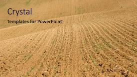  Presentation with small group top view - Slide set consisting of palnts - aerial view of brown ground background and a yellow colored foreground