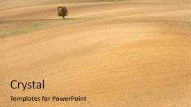  Presentation with brown - Beautiful PPT layouts featuring palnts - aerial view of brown ground backdrop and a yellow colored foreground