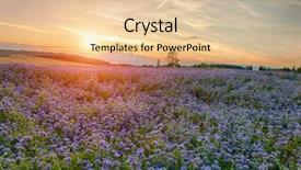  Presentation with track field throwing - PPT theme consisting of portrait of woman holding bowl of fruits in kitchen background and a coral colored foreground