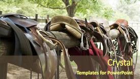  Presentation with polo - Beautiful slide set featuring pampa - leather for horseriding and polo backdrop and a tawny brown colored foreground