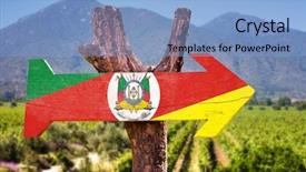  Presentation with vineyard - Colorful presentation design enhanced with pampa - rio grande do sul wooden backdrop and a light blue colored foreground