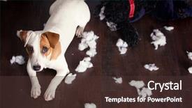  Presentation with sad dog abandoned dogs - Theme having pampering dogs naughty puppy mischief background and a tawny brown colored foreground