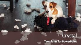 Presentation with dogs - Slide deck consisting of pampering dogs naughty puppy mischief background and a tawny brown colored foreground