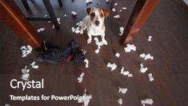  Presentation with sad dog abandoned dogs - Beautiful theme featuring jack russell terrier - pampering dogs naughty puppy mischief backdrop and a tawny brown colored foreground