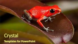  Presentation with costa rica - PPT theme with panama and costa rica background and a tawny brown colored foreground