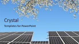  Presentation with solar tree - Slides featuring panels with flowering branch tree background and a  colored foreground