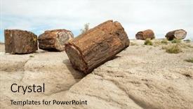  Presentation with wood - Cool new presentation theme with pangea - petrified wood on a rock backdrop and a coral colored foreground