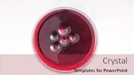  Presentation with currant - Beautiful PPT theme featuring panna cotta with fresh berry black currant and berry jam backdrop and a red colored foreground