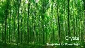 Presentation with green nature - Slide deck having panorama forest trees nature green background and a  colored foreground