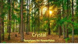  Presentation with sunlight - Theme consisting of panorama of a forest background and a tawny brown colored foreground
