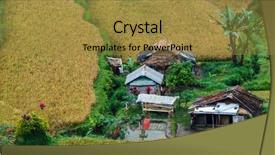  Presentation with carabao in rice field - Colorful PPT theme enhanced with panorama of beautiful rice field backdrop and a  colored foreground