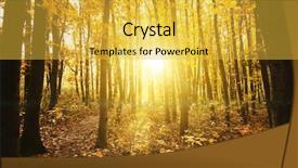  Presentation with islam and forest - Theme with panorama of forest at autumn background and a yellow colored foreground