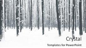  Presentation with winter forest - Slide deck featuring panorama of winter forest background and a white colored foreground