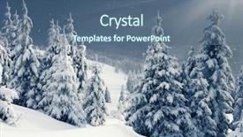  Presentation with snow tree - Presentation enhanced with panorama with snow covered tree background and a ocean colored foreground