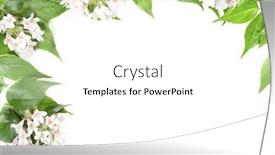  Presentation with panoramic - Beautiful slides featuring panoramic-green-leaves-and-flowers backdrop and a white colored foreground