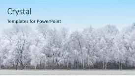 Presentation with panoramic - PPT layouts featuring panoramic image of the winter background and a sky blue colored foreground