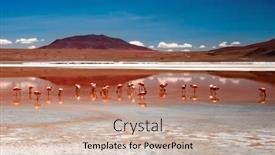  Presentation with lagoon - Beautiful slide deck featuring panoramic-scenery-of-wide-lagoon backdrop and a coral colored foreground