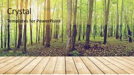  Presentation with summer trees - Cool new PPT theme with panoramic trees - panorama of a green summer backdrop and a yellow colored foreground