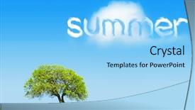  Presentation with sunny sky - Presentation theme consisting of panoramic trees - summer lonely tree background and a  colored foreground