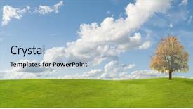  Presentation with tree - Presentation theme enhanced with panoramic trees - tree on grass autumn panorama background and a  colored foreground